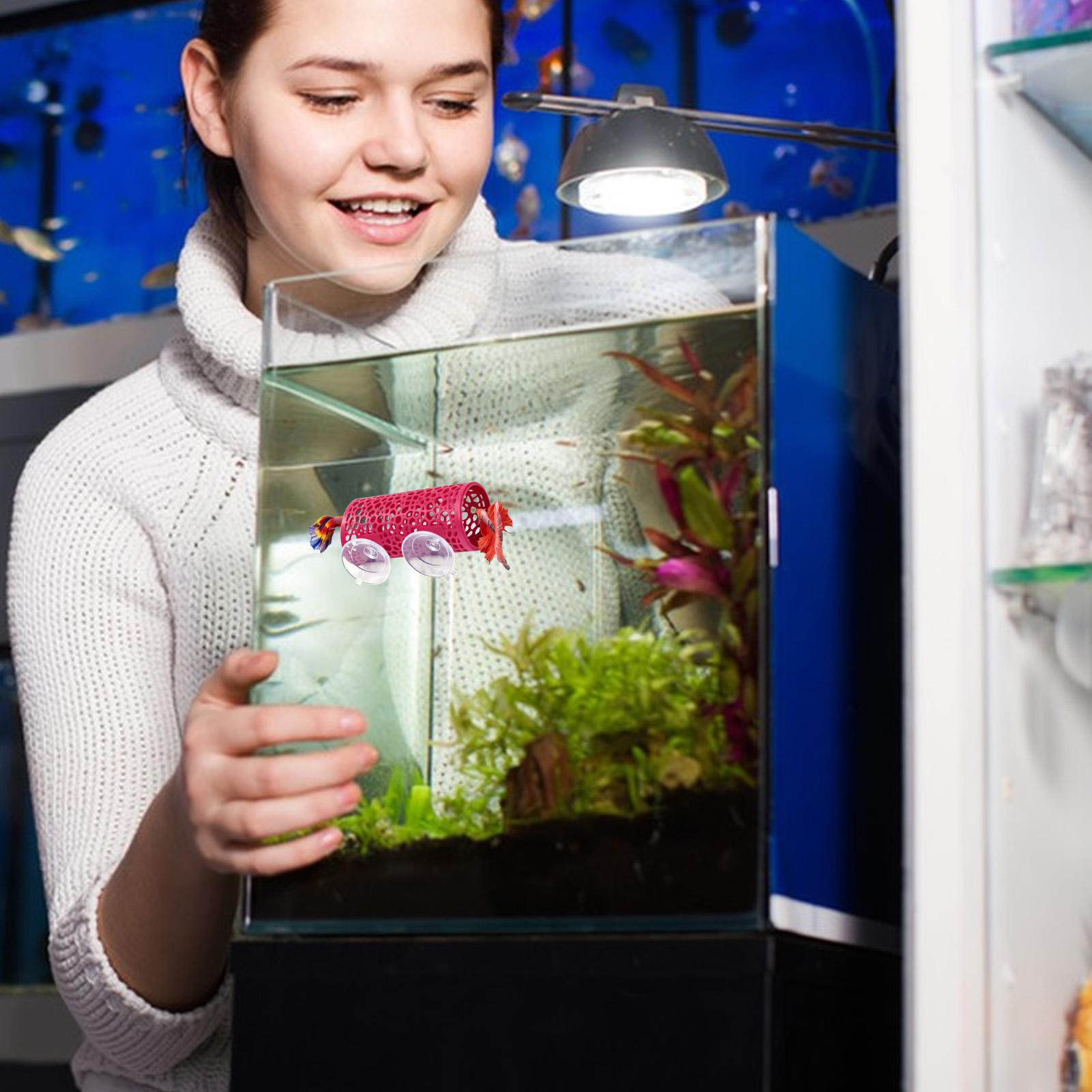 Betta Fish Tank - ที่พักพิงตกแต่งตู้ปลา ของเล่นอุโมงค์ปลา สำหรับตู้ปลา แบบติดตั้งด้วยจุ๊บสุญญากาศ ท่อขนาดเล็ก ปลอดภัย