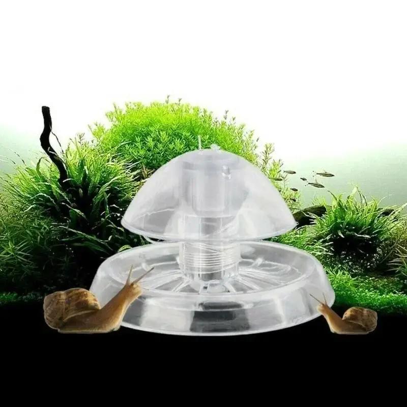 Fish Aquarium Home - กับดักหอยทากพลาสติกใสขนาด 6/8 ซม. รุ่นใหม่ ปี 2026