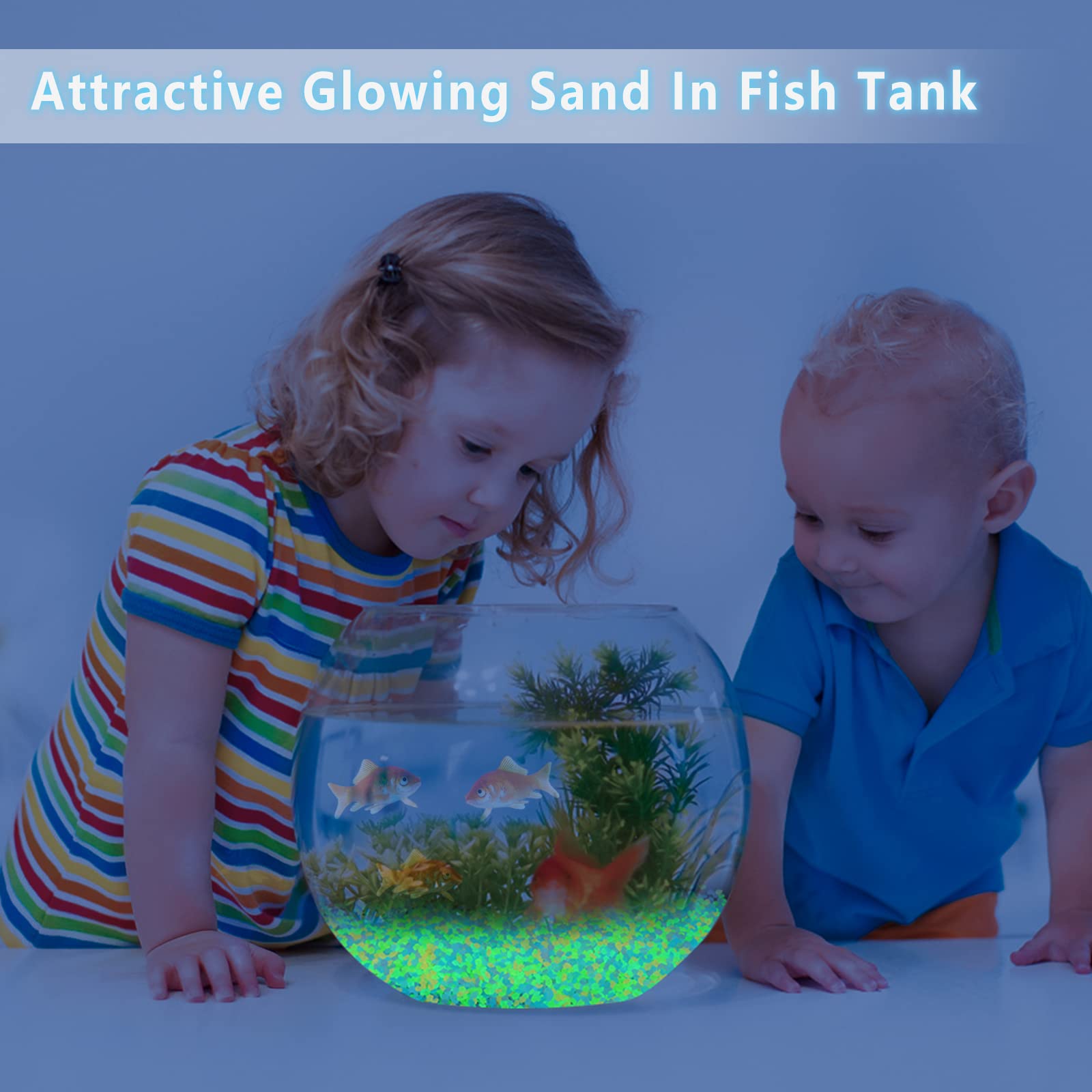 ทรายเรืองแสง 1000 ชิ้น หินเรือ - Fish Aquarium Home บทวิจารณ์และราคา