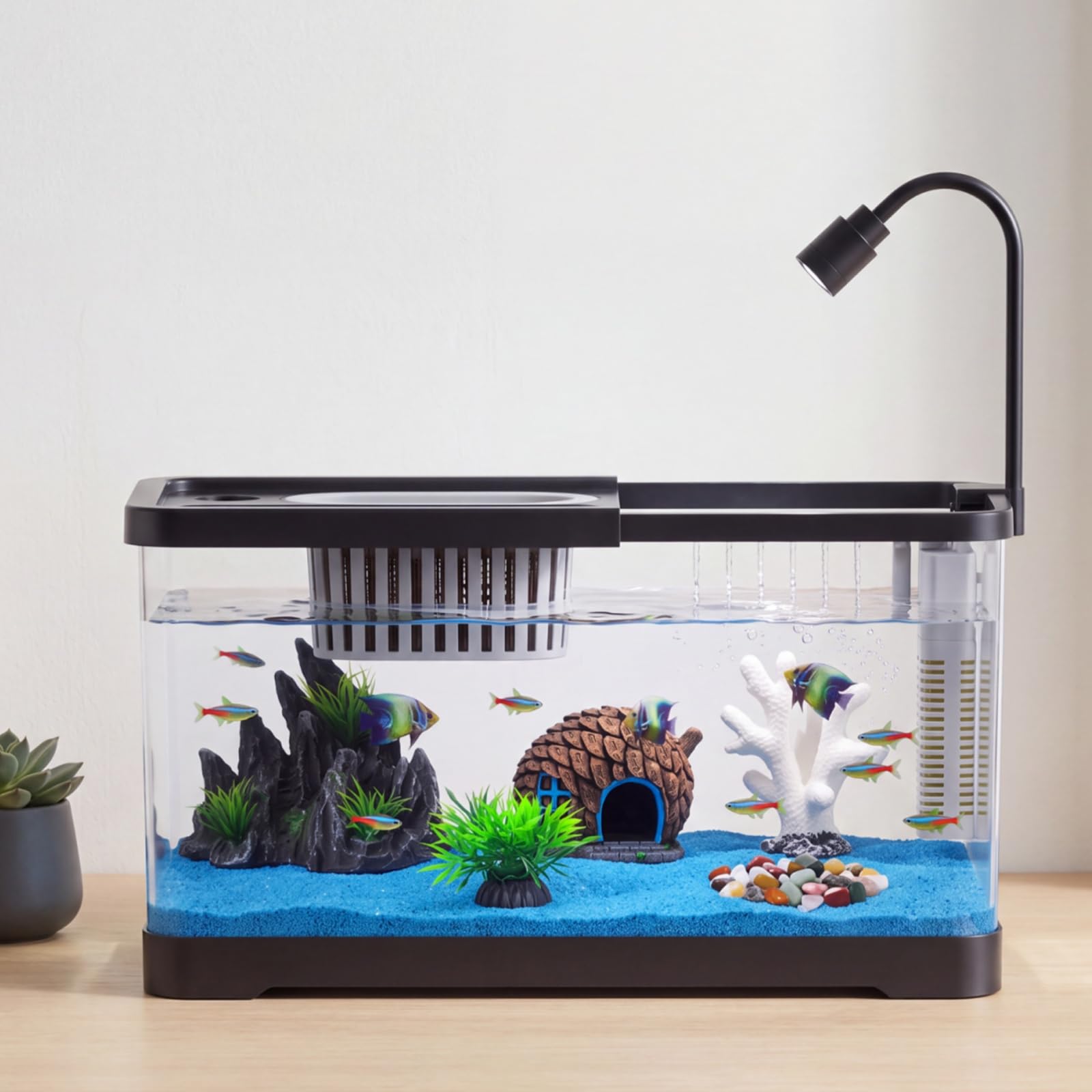 ชุดเริ่มต้นตู้ปลาพร้อมตัวกรองแ - Betta Fish Tank บทวิจารณ์และราคา