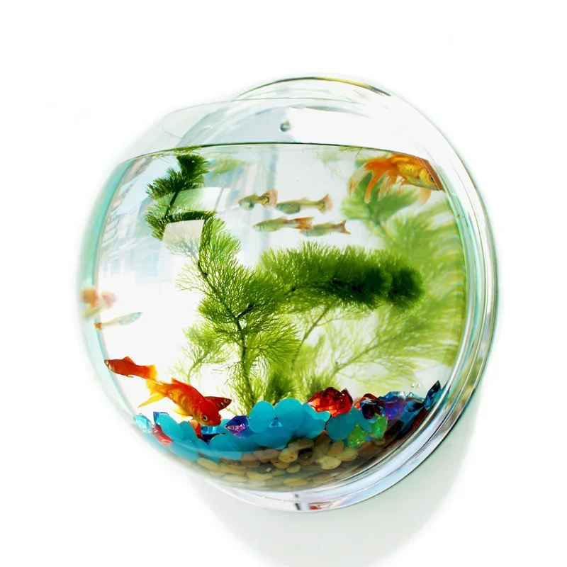 Pinsjar อะคริลิคชามปลาแขวนผนัง - Betta Fish Tank บทวิจารณ์และราคา