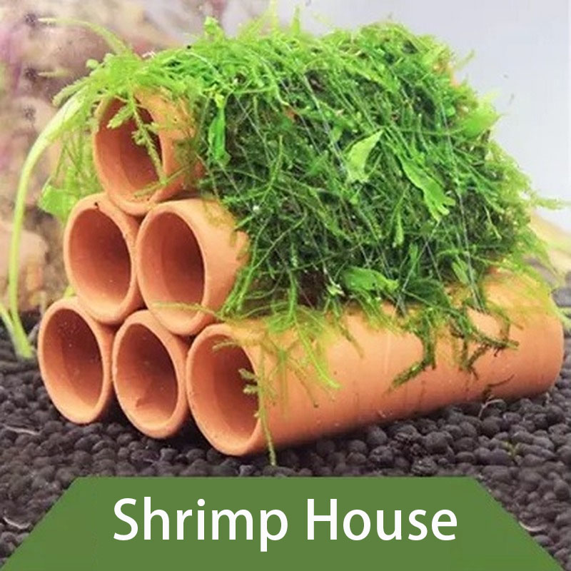 Clay Aquarium ตกแต่งปลากุ้งเล่ - Betta Fish Tank บทวิจารณ์และราคา