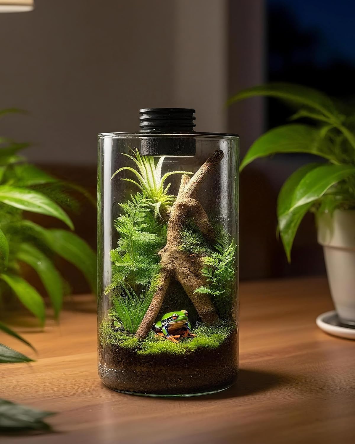 กระถางแก้วในร่มพร้อมไฟปลูกต้นไ - Betta Fish Tank บทวิจารณ์และราคา
