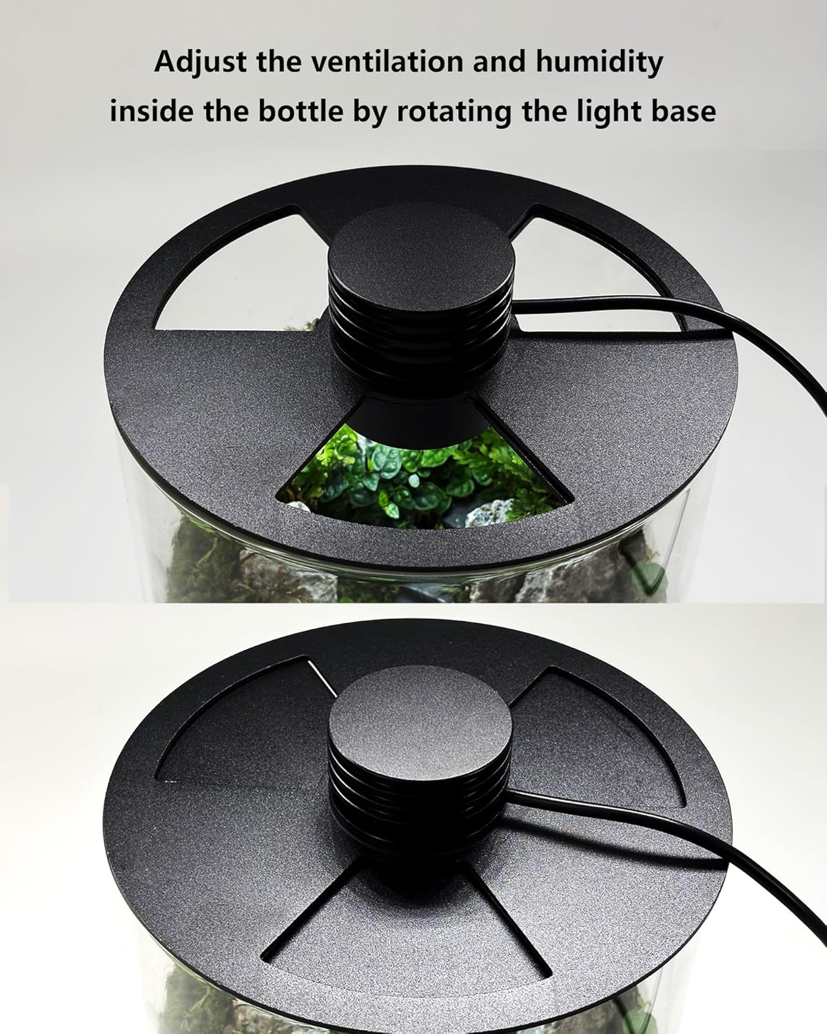 กระถางแก้วในร่มพร้อมไฟปลูกต้นไ - Betta Fish Tank บทวิจารณ์และราคา