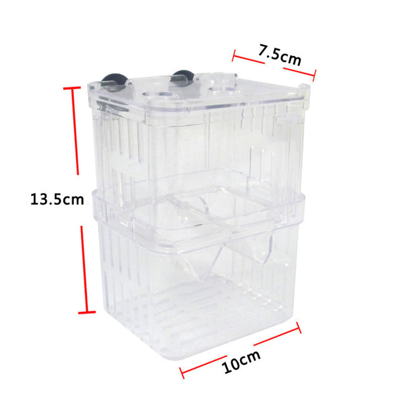 นกยูงปลา Breeding กล่องแยก Fis - Betta Fish Tank บทวิจารณ์และราคา