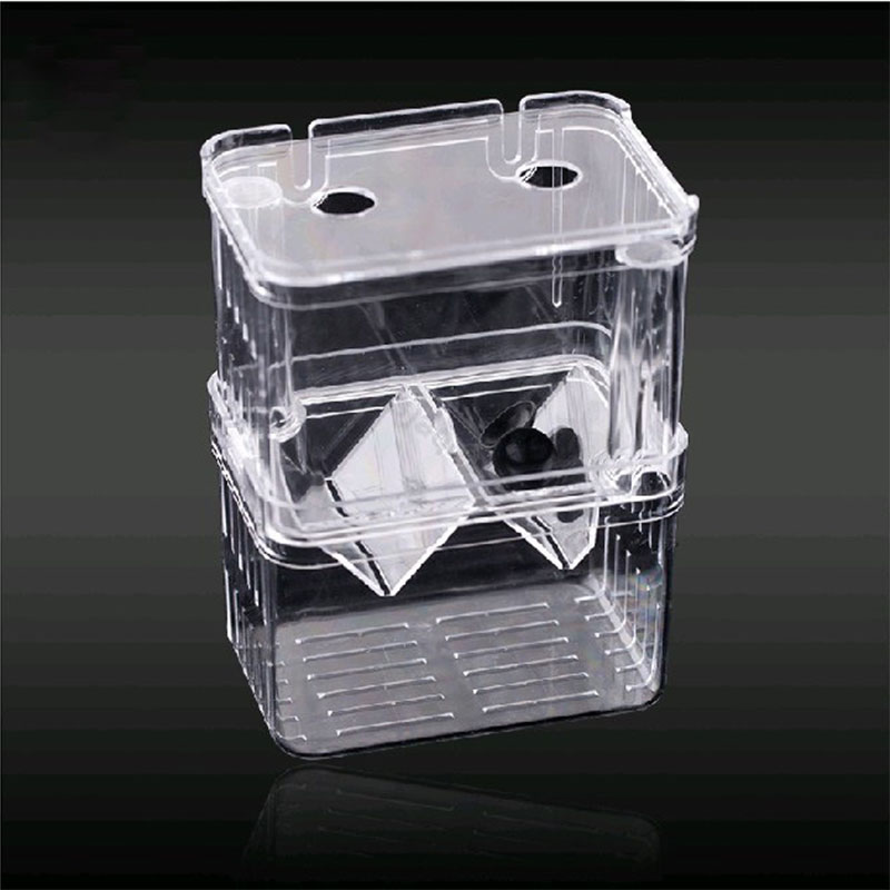 นกยูงปลา Breeding กล่องแยก Fis - Betta Fish Tank บทวิจารณ์และราคา